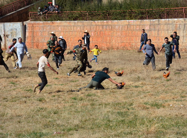 【纪检人镜头】密枝节徒手抓"飞鸡"振兴传统节日践行核心价值观